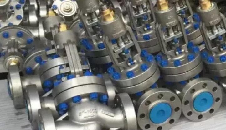 Duplex Steel Valves
